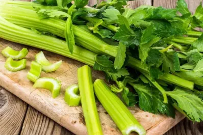 Por qué deberías comer apio todas las mañanas: beneficios que te sorprenderán