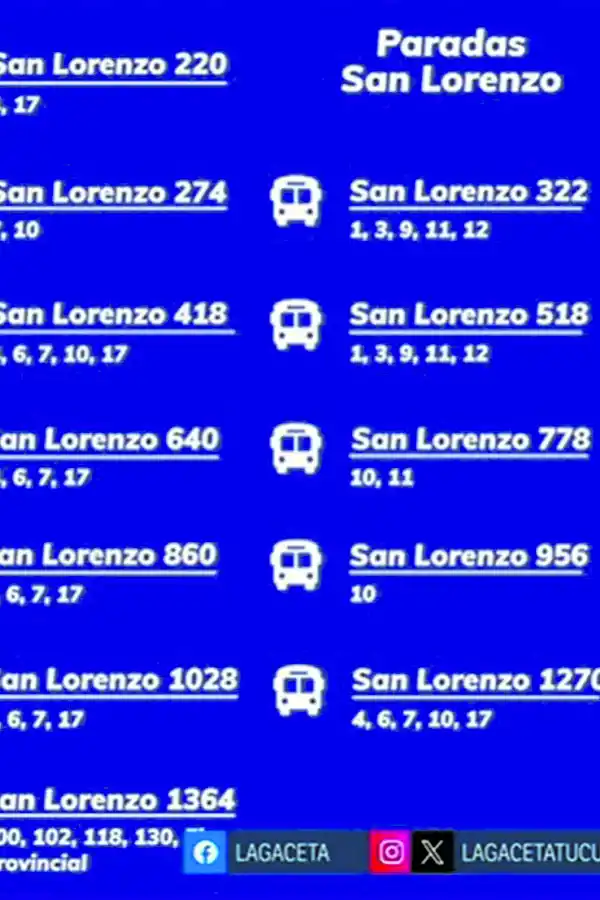 No se podrá estacionar durante las 24 horas en la calle Las Piedras: preocupación de vecinos y de comerciantes