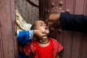 Vacunación entre bombas: campaña contra la polio, en Gaza