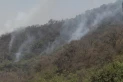Parque Sierra de San Javier: aplican índice meteorológico de riesgo de incendios forestales