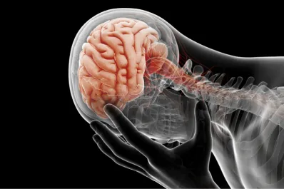 Estos seis hábitos son los que más dañan el cerebro y afectan la memoria sin darnos cuenta