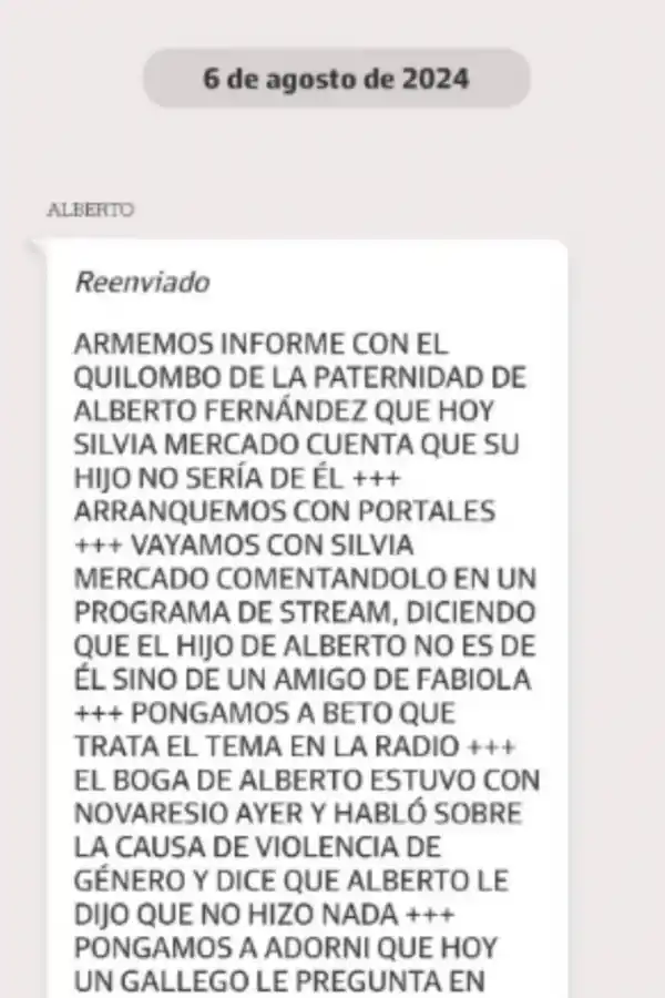 Qué dijo Tamara Pettinato sobre los chats entre Alberto Fernández y Fabiola Yáñez