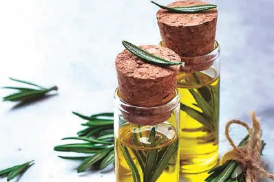 Cómo usar el romero para fortalecer el cabello y estimular su crecimiento