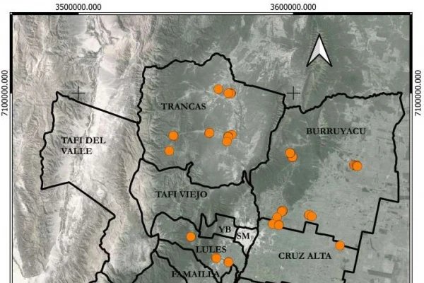 Tucumán cuenta con 465 ha de pecanes; un 40% de los cuales se encuentra en Burruyacu