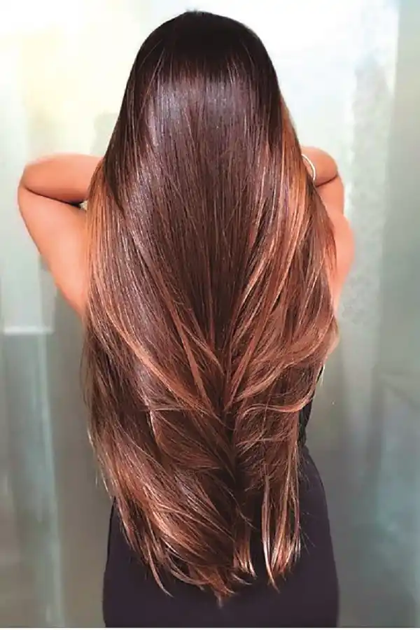 Los beneficios del romero para el cabello: lo fortalece y estimula su crecimiento