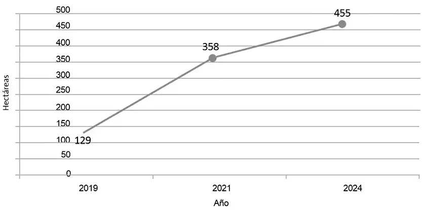 Los pecanes de tres a cinco años y menores de tres años implican el 72% del área al corriente año