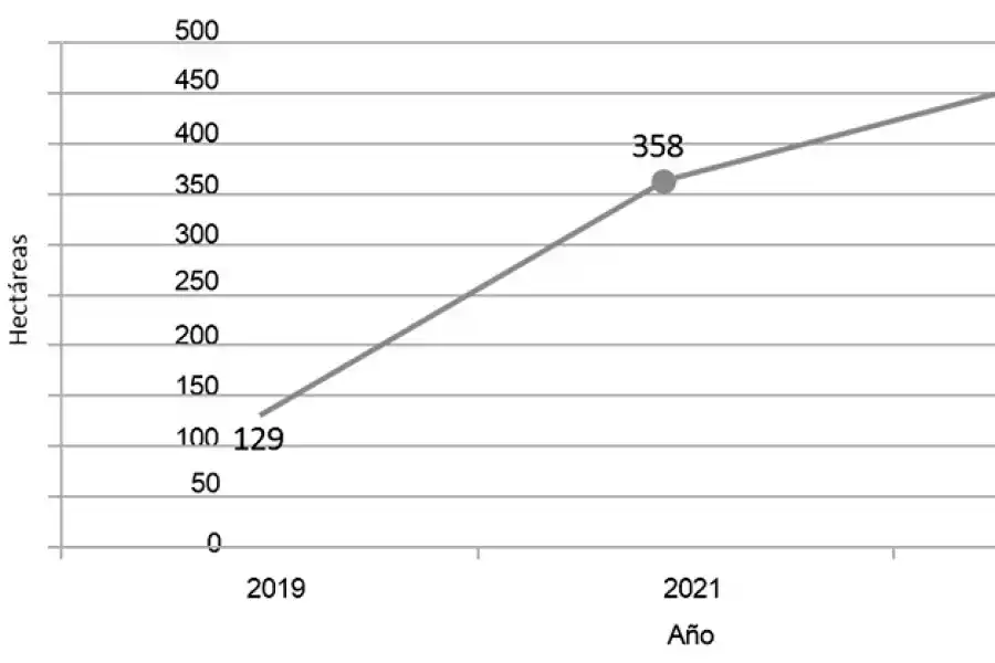 Los pecanes de tres a cinco años y menores de tres años implican el 72% del área al corriente año