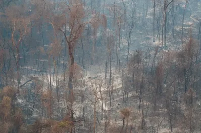 Brasil: despliegan aviones militares para combatir los incendios en el estado de San Pablo