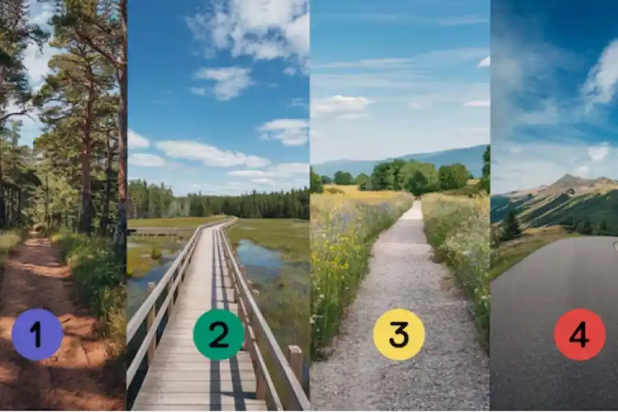 Un test de personalidad que es furor en las redes sociales.