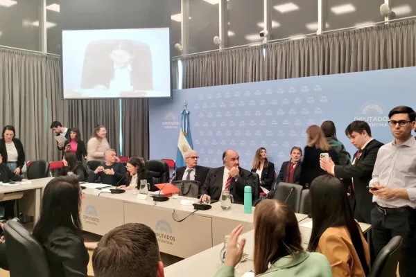 En Diputados, Cúneo Libarona negó la diversidad sexual y proclamó el fin del “género” para el Estado