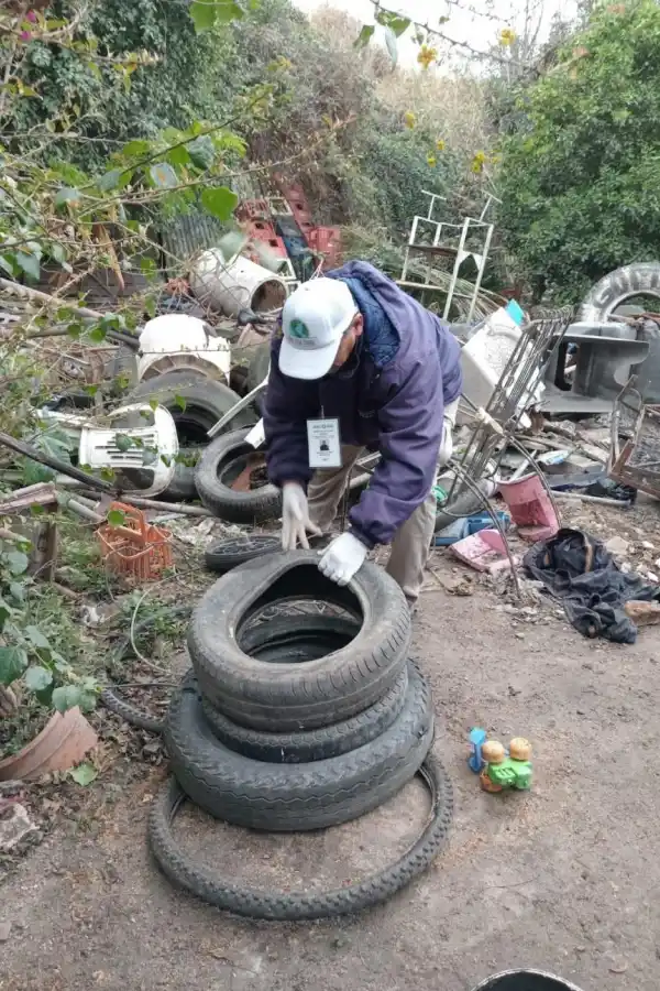 FOCOS. Las chatarrerías son unos de los lugares más peligrosos para la concentración del dengue.