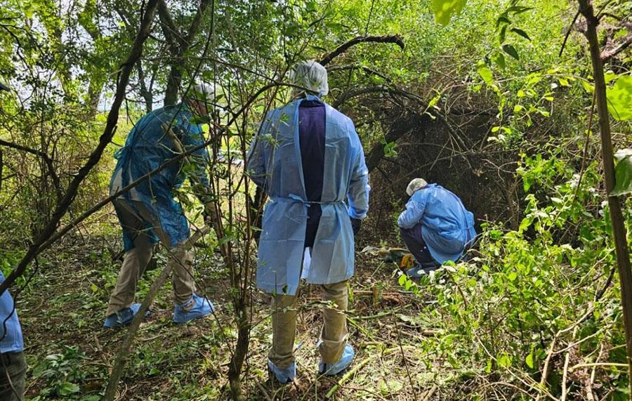 Niños asesinados en Tucumán: los últimos casos que conmovieron a todo el país