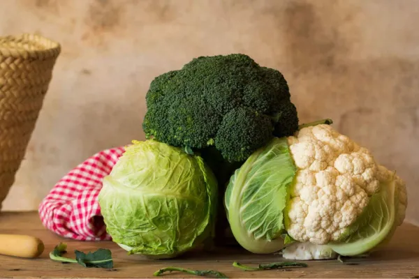 Alimentos amargos: por qué conviene comerlos y cuáles son los ideales para la salud