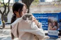 Veterinarios desparasitarán y vacunarán gratis a perros y a gatos en plazas de Tucumán