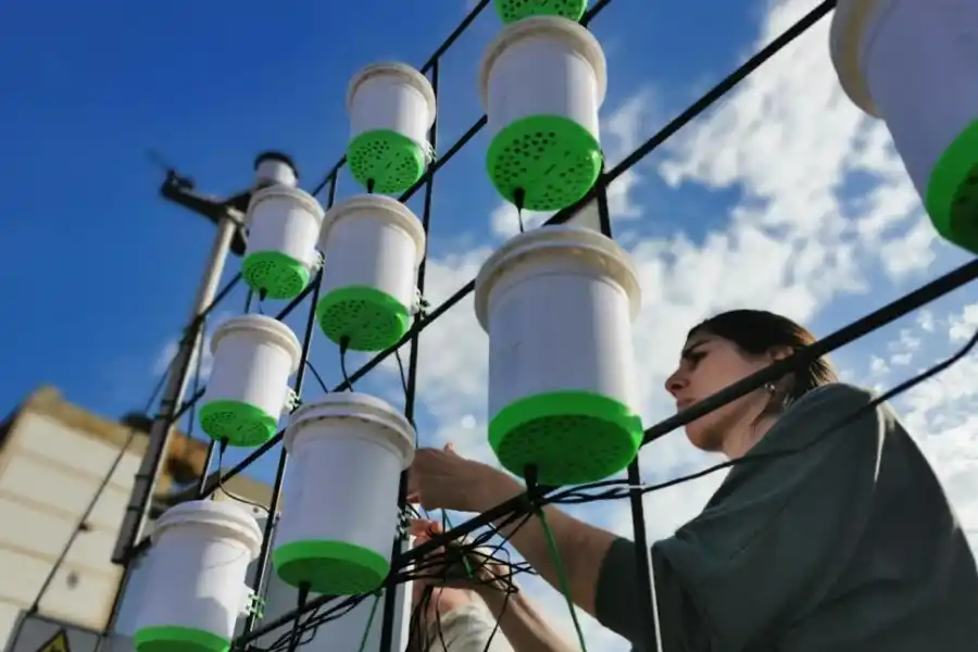VIDEO. Instalarán una red de monitoreo ambiental en el Norte Grande