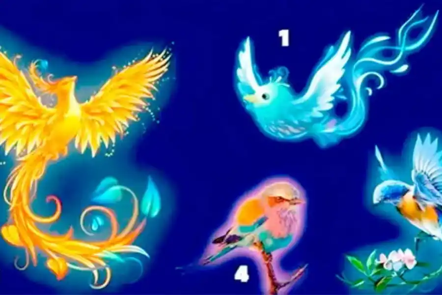 Descubrí si sos una persona narcista con este sencillo test visual.