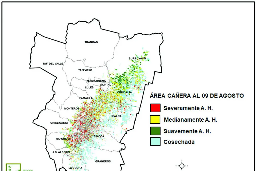La Eeaoc ajustó las estimaciones de producción para la zafra 2024 a 17,5 millones de toneladas