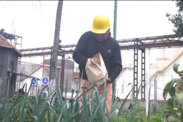 Los Balcanes: sostenible y sustentable