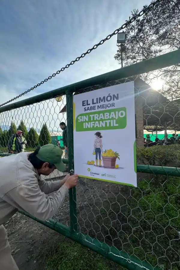 Citromax: referente de la industria del limón comprometido con el medio ambiente