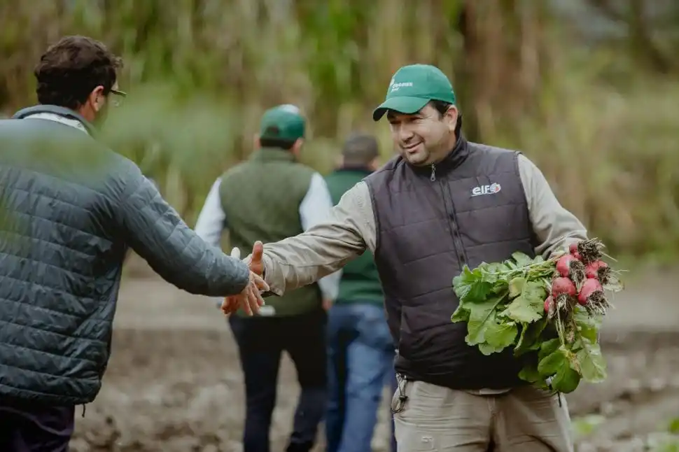 Citromax: referente de la industria del limón comprometido con el medio ambiente