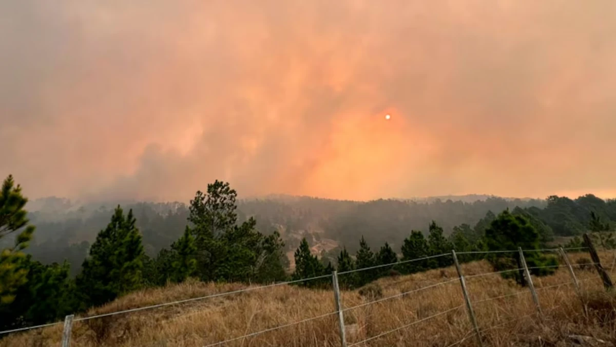 Avanzan los incendios en Córdoba y el fuego se acerca a las casas: varias familias fueron evacuadas