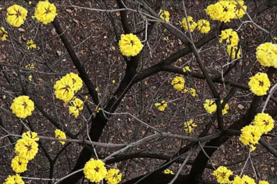 Repartirán $ 2 millones entre los ganadores de “San Miguel de Tucumán en Foco”