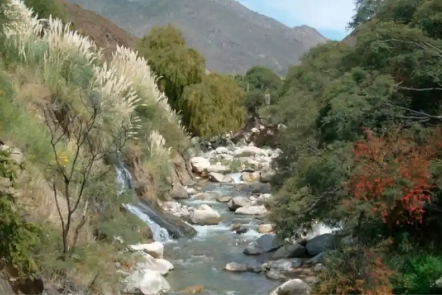 El lugar perfecto para escapar de la rutina laboral y los ruidos de la ciudad.