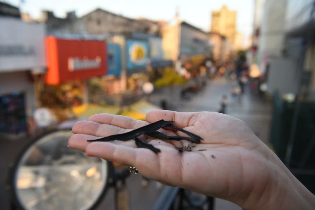 La lluvia negra se convirtió en una pesadilla.