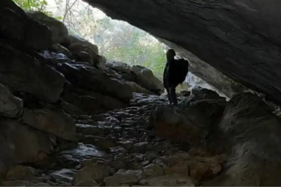 La cueva se encuentra situada en el Este Mediterráneo, en la sexta isla más grande de esta región, Mallorca.