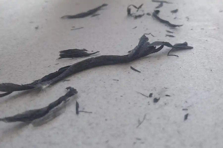 LA GACETA / FOTO DE DIEGO ARÁOZ.  