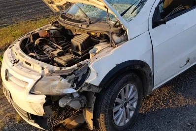 El delegado comunal de Alto Verde chocó contra un caballo en la ruta 38