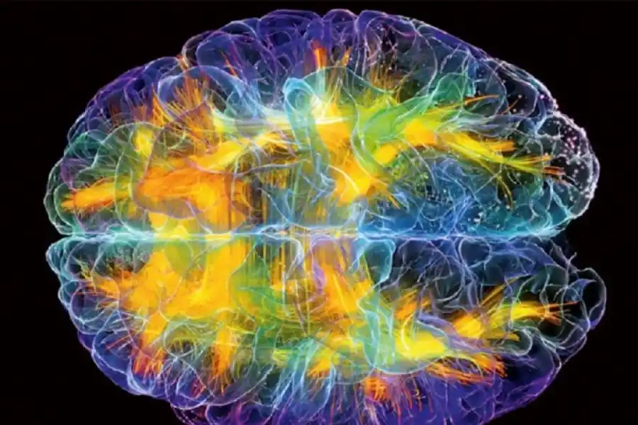 Salir de la monotonía puede aumentar la neuroplasticidad.