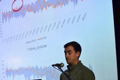 En macroparcelas se destacó la variedad de poroto TUC 550