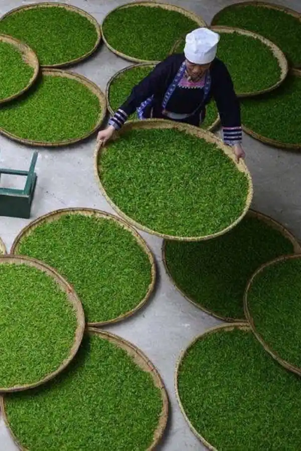 K-Beauty: el enfoque coreano que cambió la belleza global