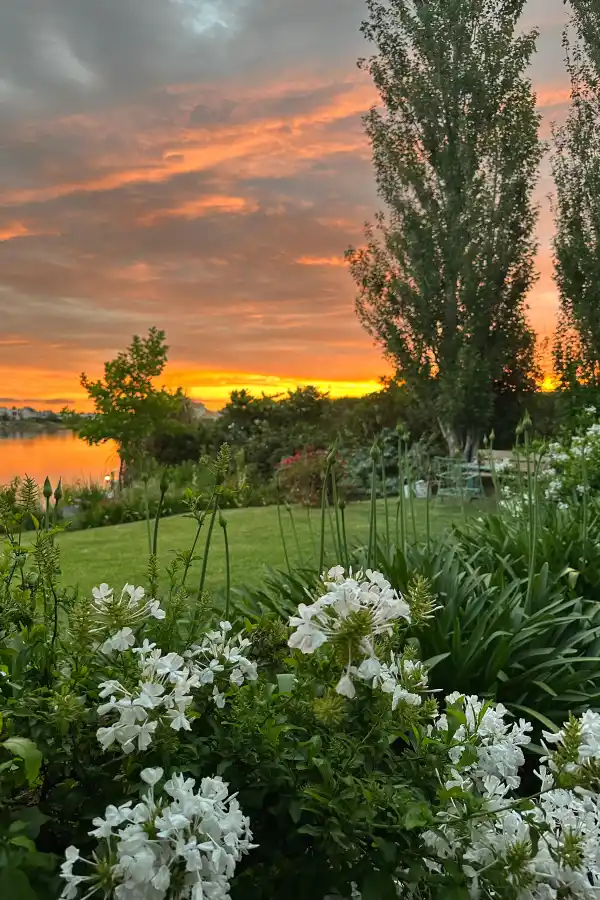 Las reglas del ikigai: el camino japonés hacia una vida plena y longeva