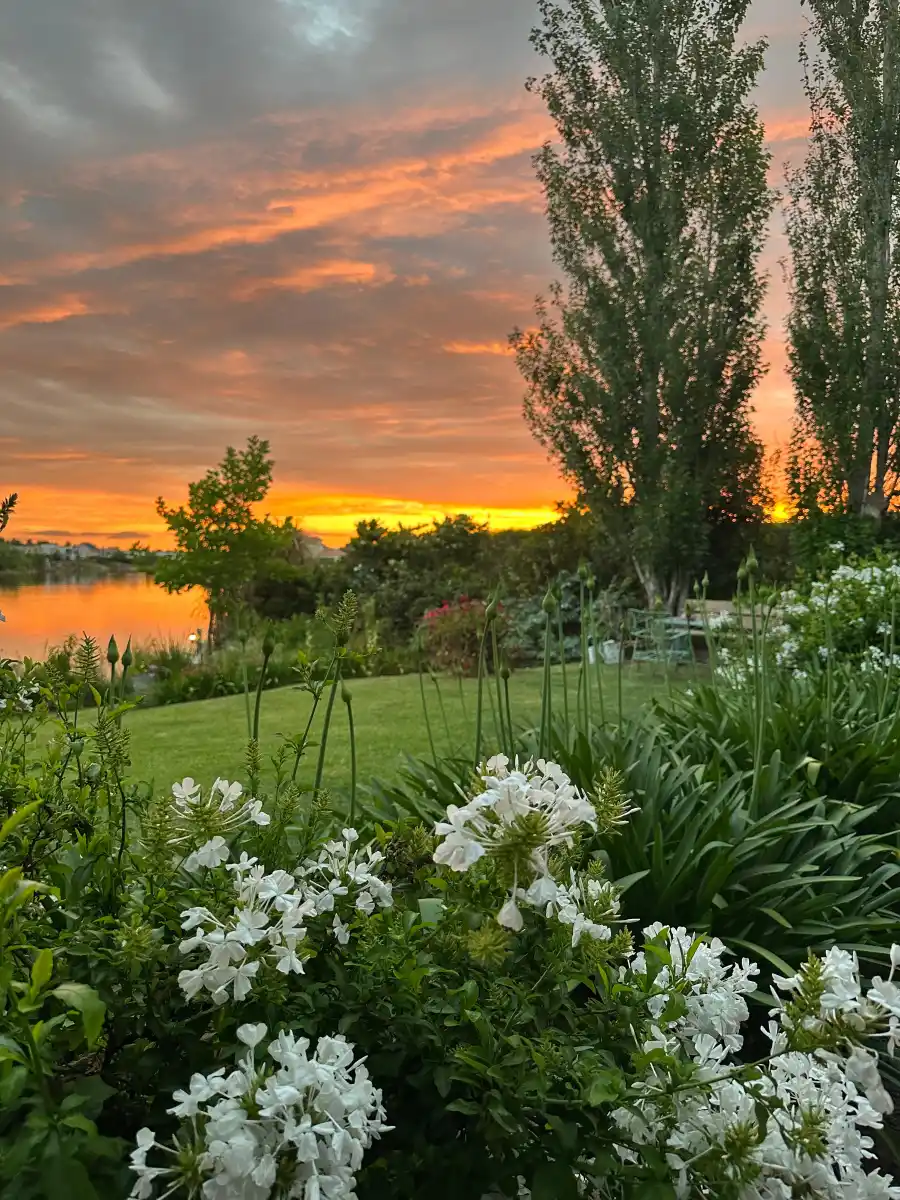 Las reglas del ikigai: el camino japonés hacia una vida plena y longeva