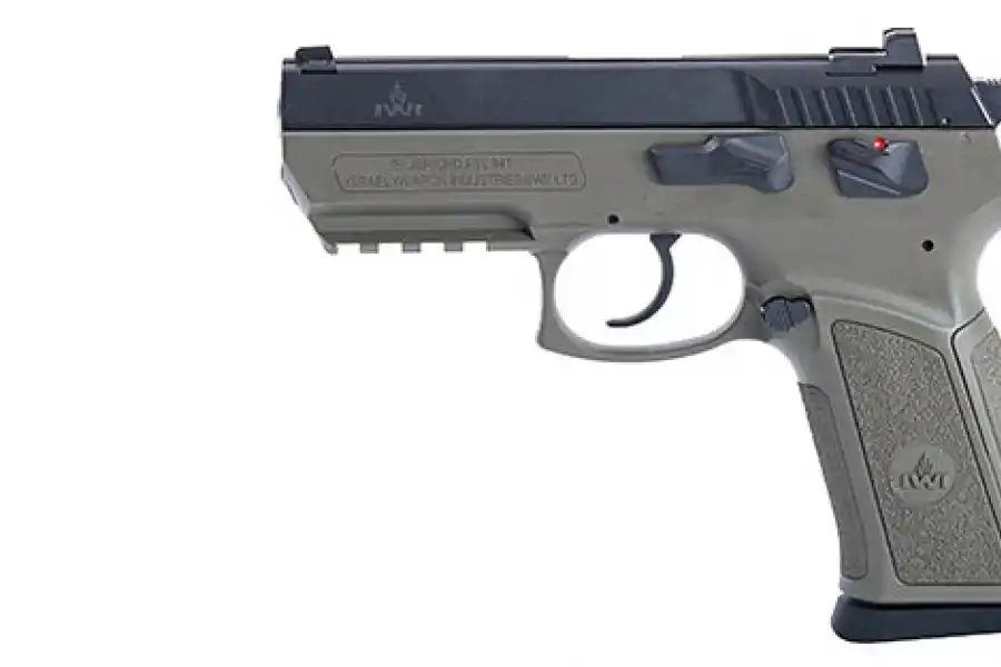 Paradojas policiales en una sociedad violenta