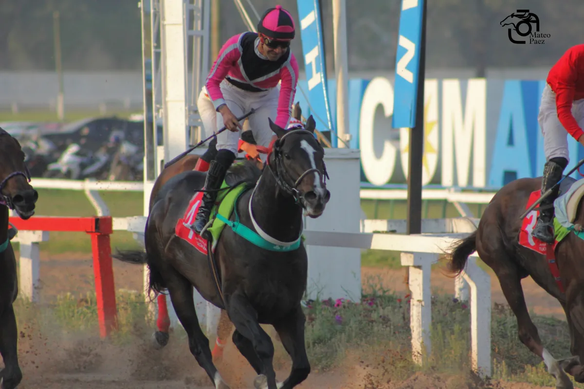 Turf: Mr. Aidan logró un gran éxito y le apunta a la Carrera de las Estrellas