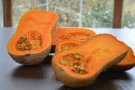 Esta semilla regula el azúcar en sangre: cuántas tenés que comer al día si sos diabético