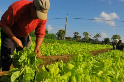 Efemérides del 8 de septiembre: por qué se celebra el Día del Agricultor en Argentina