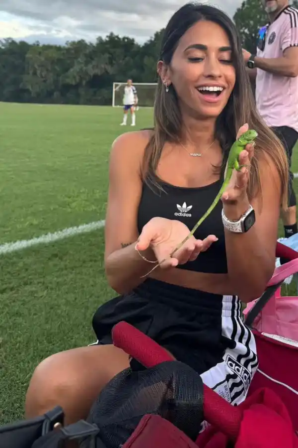 Antonela Roccuzzo encontró una lagartija verde en medio del partido.