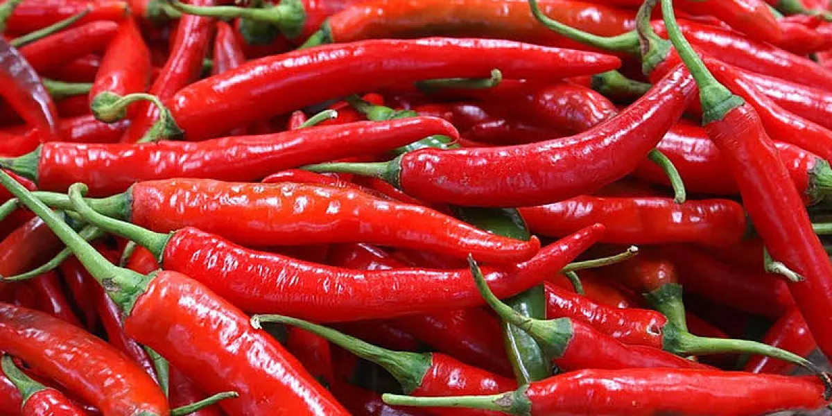 El ají demostro aumentar los riesgos de padecer demencia.