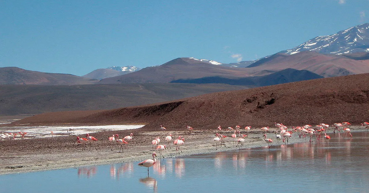 Cinco destinos imperdibles en una provincia del norte para hacer turismo familiar