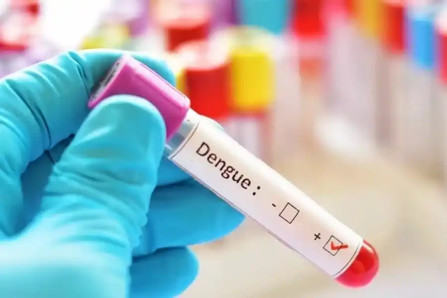 Siete respuestas sobre la vacunación para jóvenes y adolescentes tucumanos contra el dengue