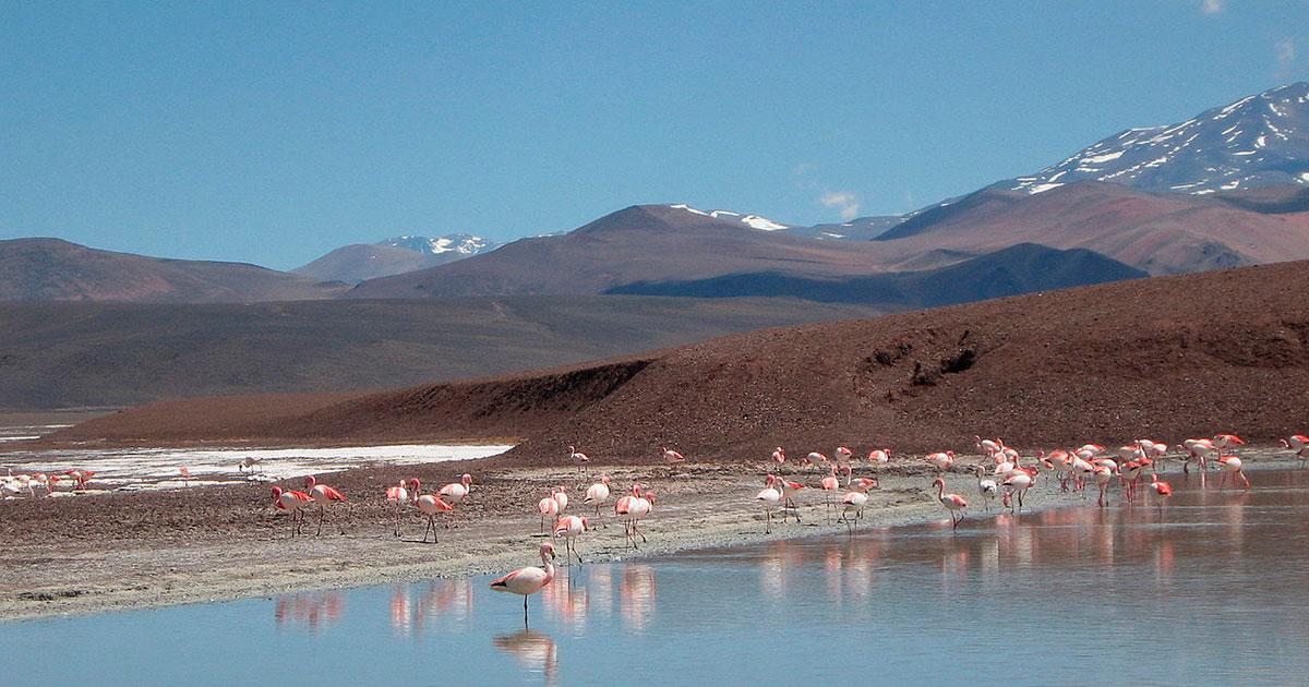 Cinco destinos imperdibles en una provincia del norte para hacer turismo familiar