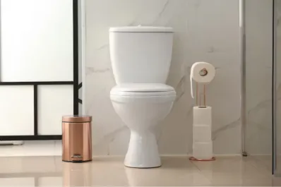 ¿Cuáles son los beneficios de poner sal gruesa en el inodoro todas las noches?