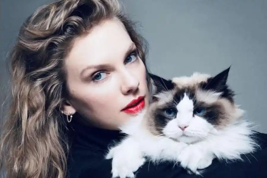 EN APOYO A HARRIS. Taylor usó una foto en la que está posando con su gato. / REVISTA TIME.