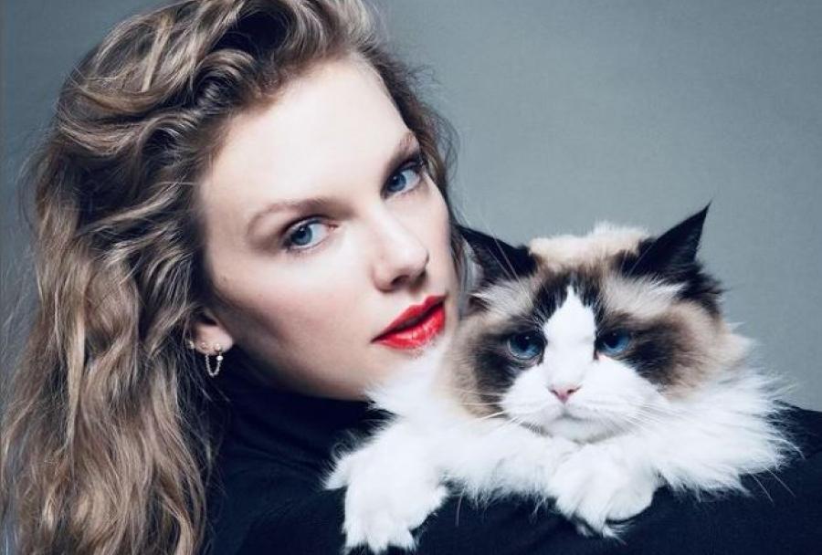 EN APOYO A HARRIS. Taylor usó una foto en la que está posando con su gato. / REVISTA TIME.