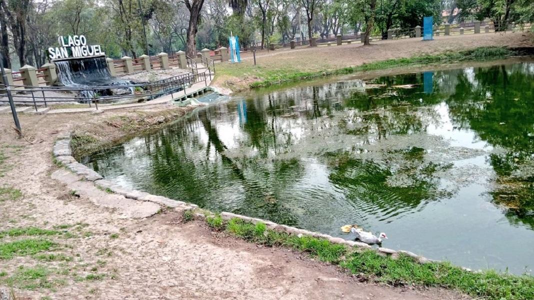 Nadie se salva: preocupa el robo de patos del Lago San Miguel, en el parque 9 de Julio