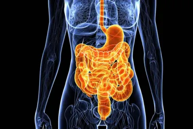 Cómo mantener los intestinos “bajo control” para prevenir enfermedades